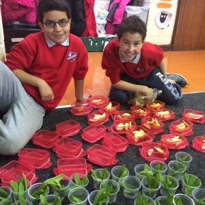 Saed and Ali prepare the fruiy and veg!