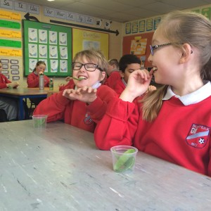 Ethan enjoying a vegetable.