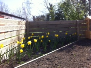 photo (13)
