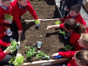 sow and grow children