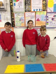 science-exhibition-ms-ward